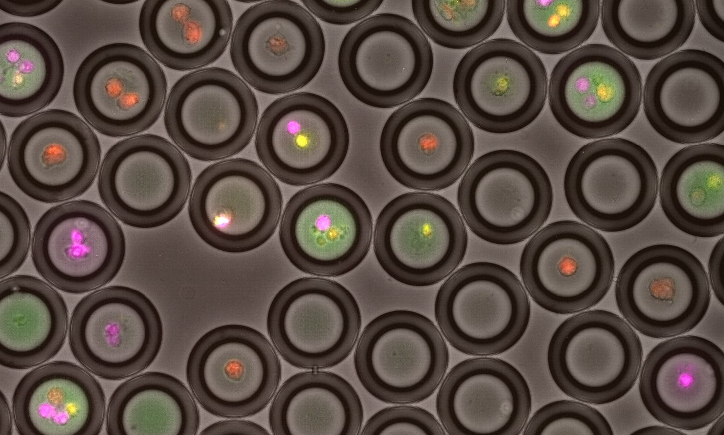 DE50 cartridge closeup - pipetting - microfluids - gasket - production - double emulsion droplets production